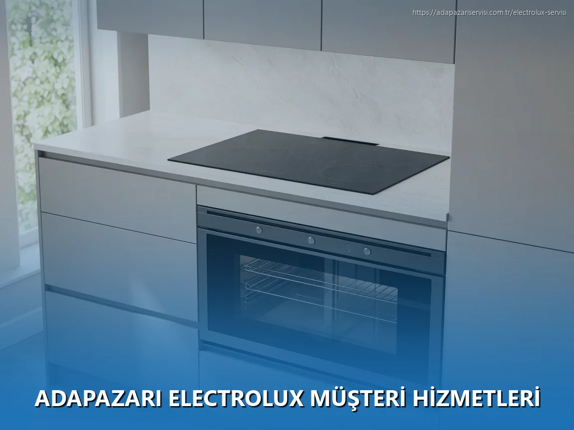 Adapazarı Electrolux Müşteri Hizmetleri
