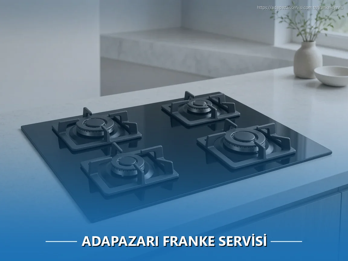 Adapazarı Franke Servisi
